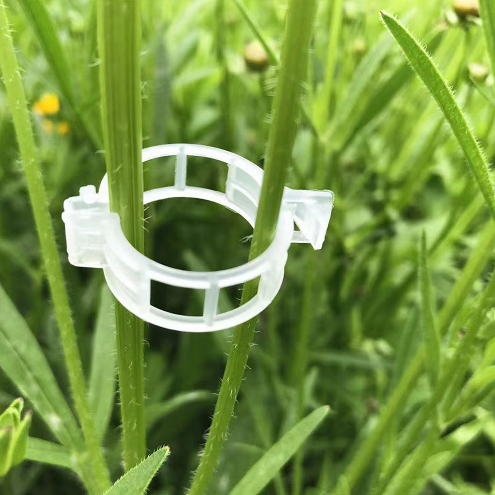 Vine Climbing Plastic - Sichere Kunststoff-Pflanzenklammer zum Befestigen von Gartenklammern,
