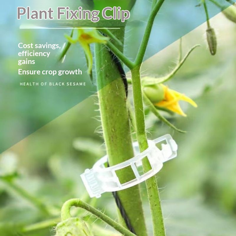 Vine Climbing Plastic - Wiederverwendbare Kunststoff-Pflanzenstützclips, Rankenbefestigungsklemmen für Tomaten, Gemüse,
