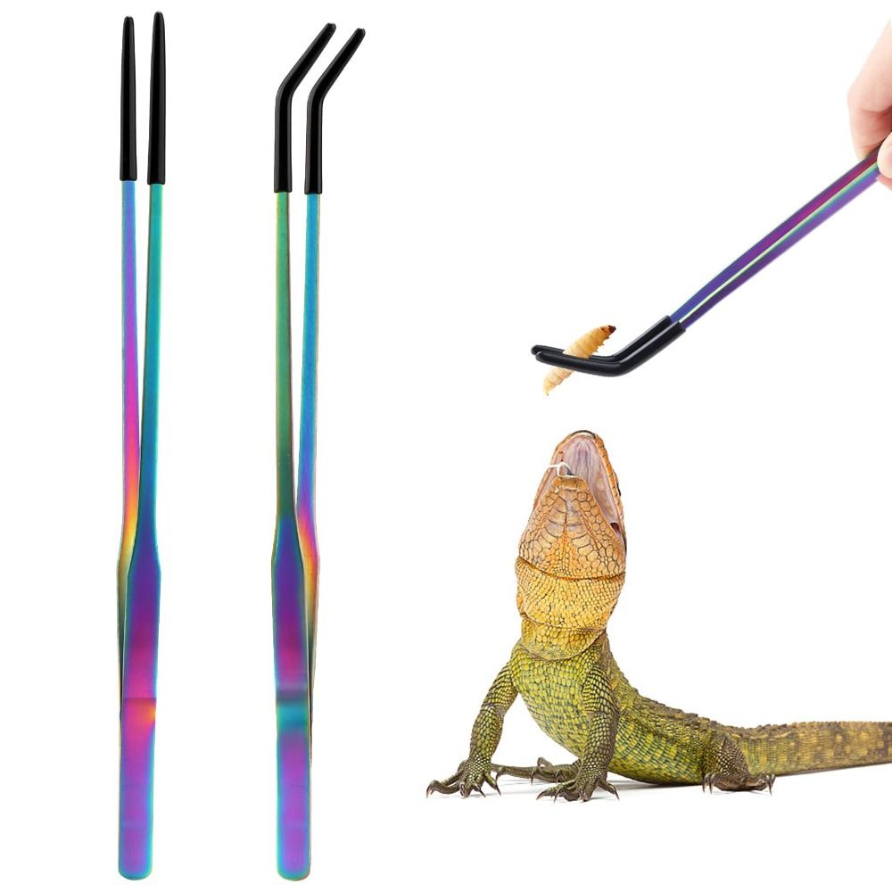 2 Stück Edelstahl-Reptilien-Fü – Feeding Tong Stainless Bewertung und Preis