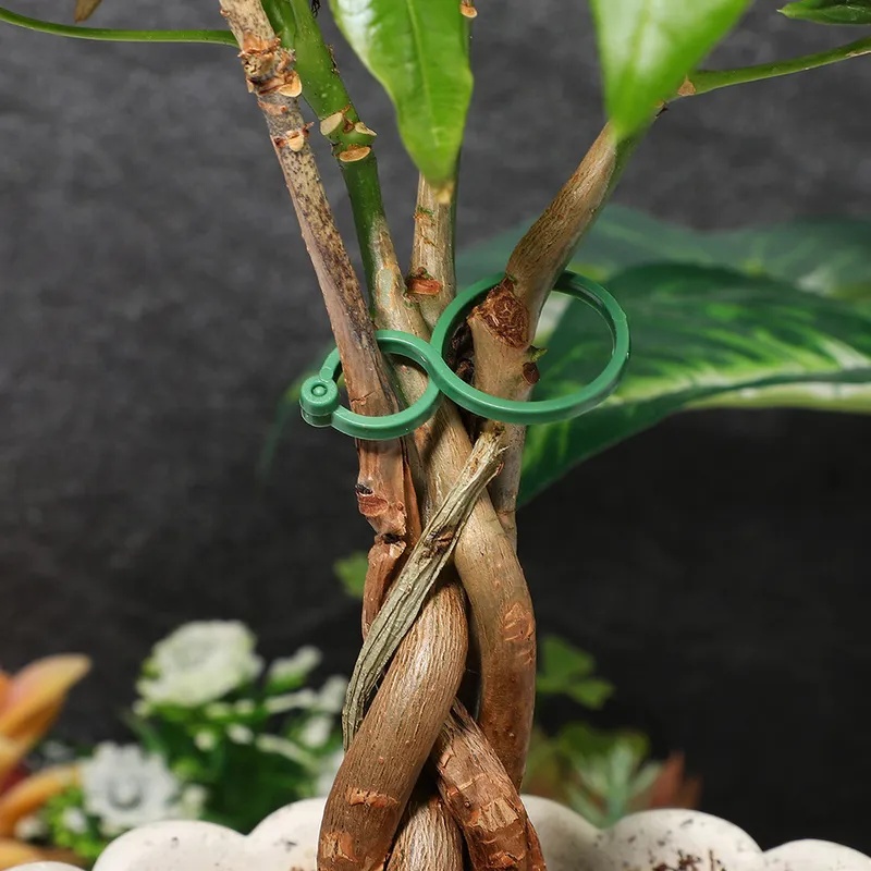 50-400 Stück Pflanzenstützclip – Vine Climbing Plastic Bewertung und Preis