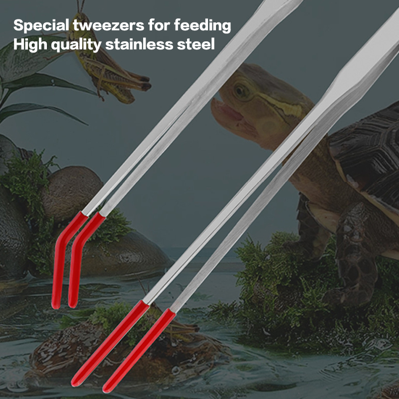Edelstahl-Reptilien-Fütterungs – Feeding Tong Stainless Bewertung und Preis