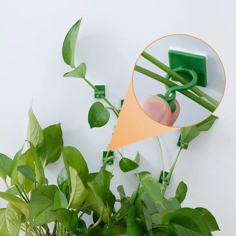 Selbstklebende Pflanzen-Klette – Vine Climbing Plastic Bewertung und Preis
