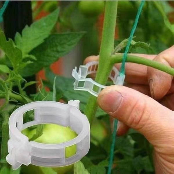 500 Stück Kunststoff-Pflanzens – Vine Climbing Plastic Bewertung und Preis