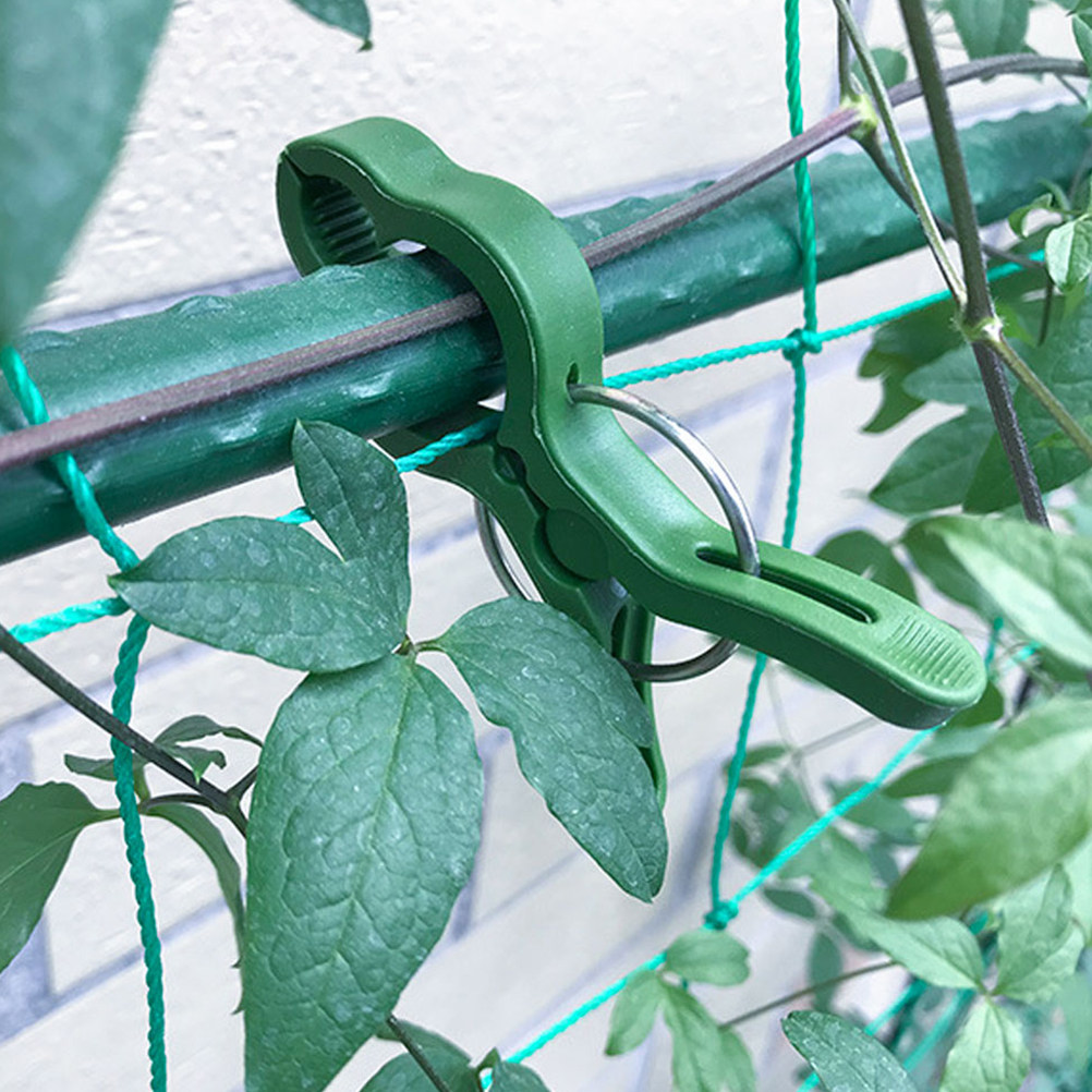 60 Stück Gartenpflanzenklammer – Vine Climbing Plastic Bewertung und Preis