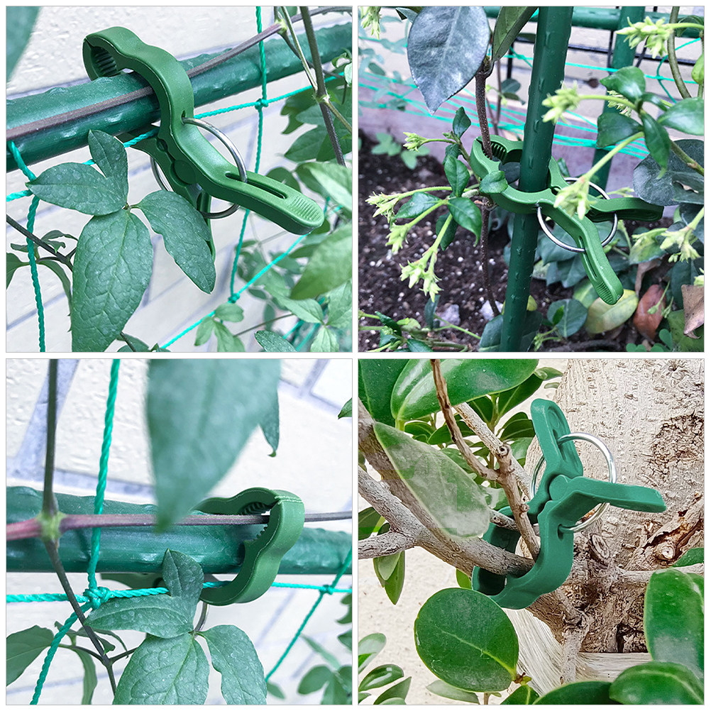 60 Stück Gartenpflanzenklammer – Vine Climbing Plastic Bewertung und Preis