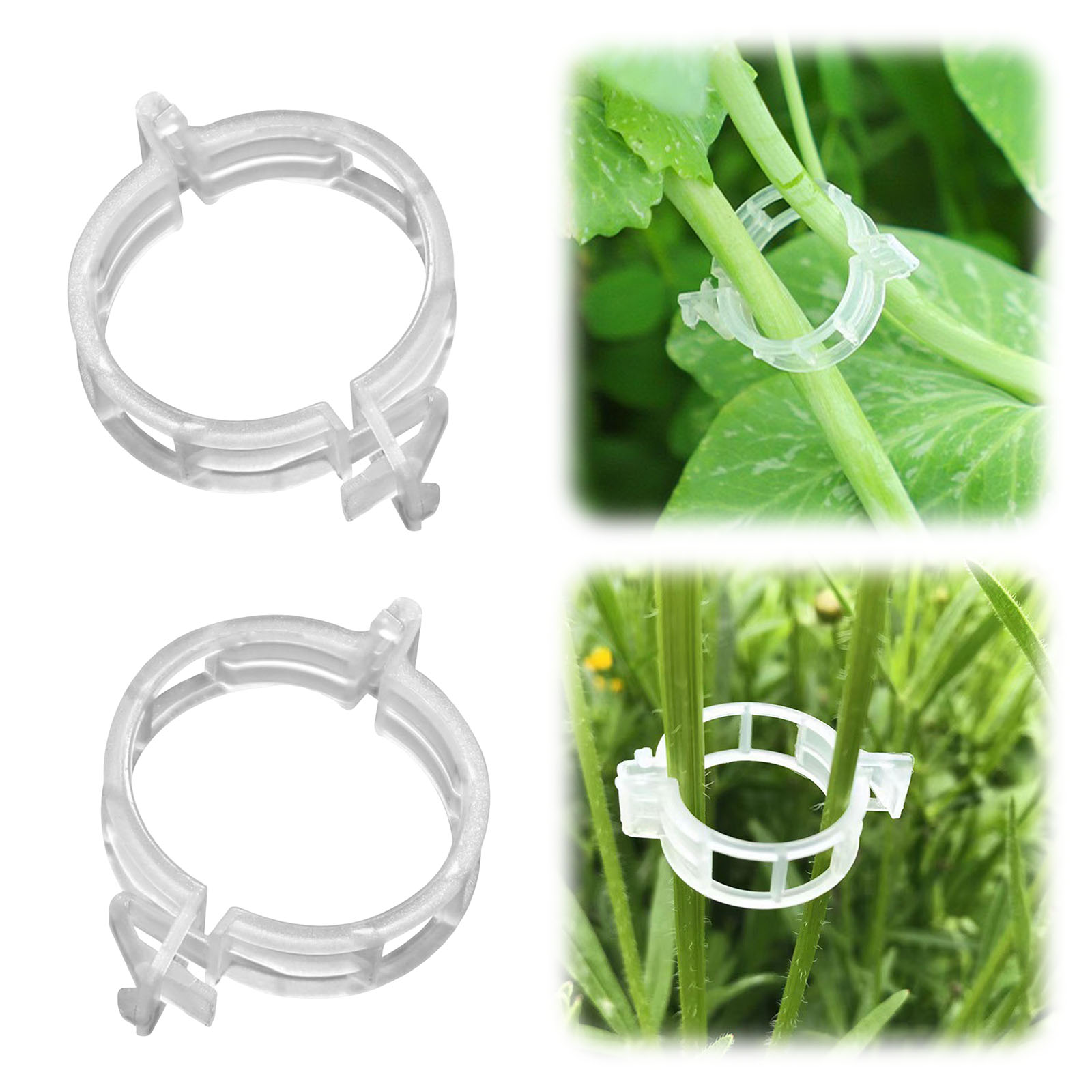 Sichere Kunststoff-Pflanzenkla – Vine Climbing Plastic Bewertung und Preis