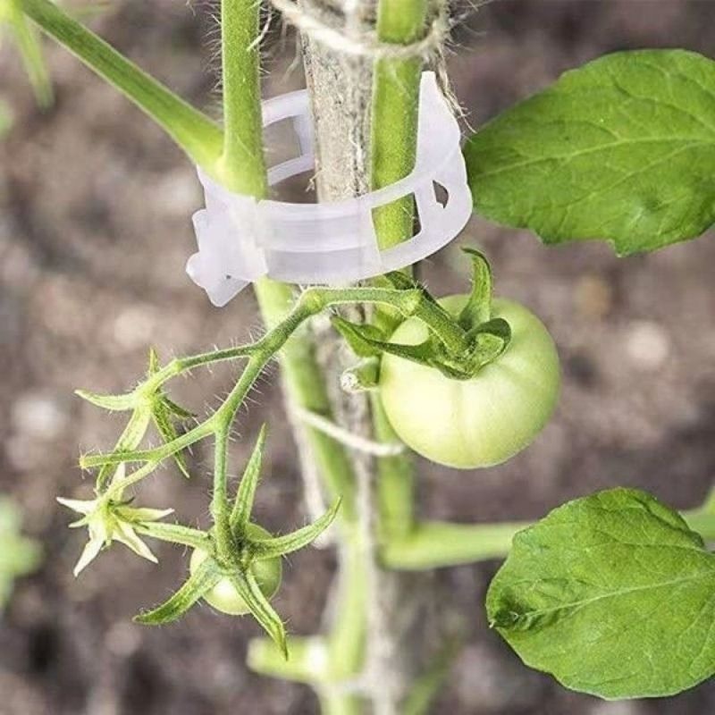 Wiederverwendbare Kunststoff-P – Vine Climbing Plastic Bewertung und Preis