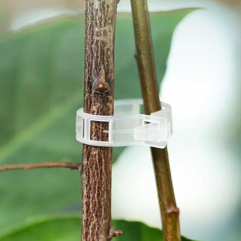 Wiederverwendbare Kunststoff-P – Vine Climbing Plastic Bewertung und Preis
