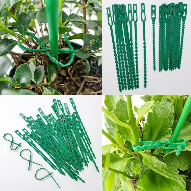 Grüne Wiederverwendbare Pflanz – Vine Climbing Plastic Bewertung und Preis